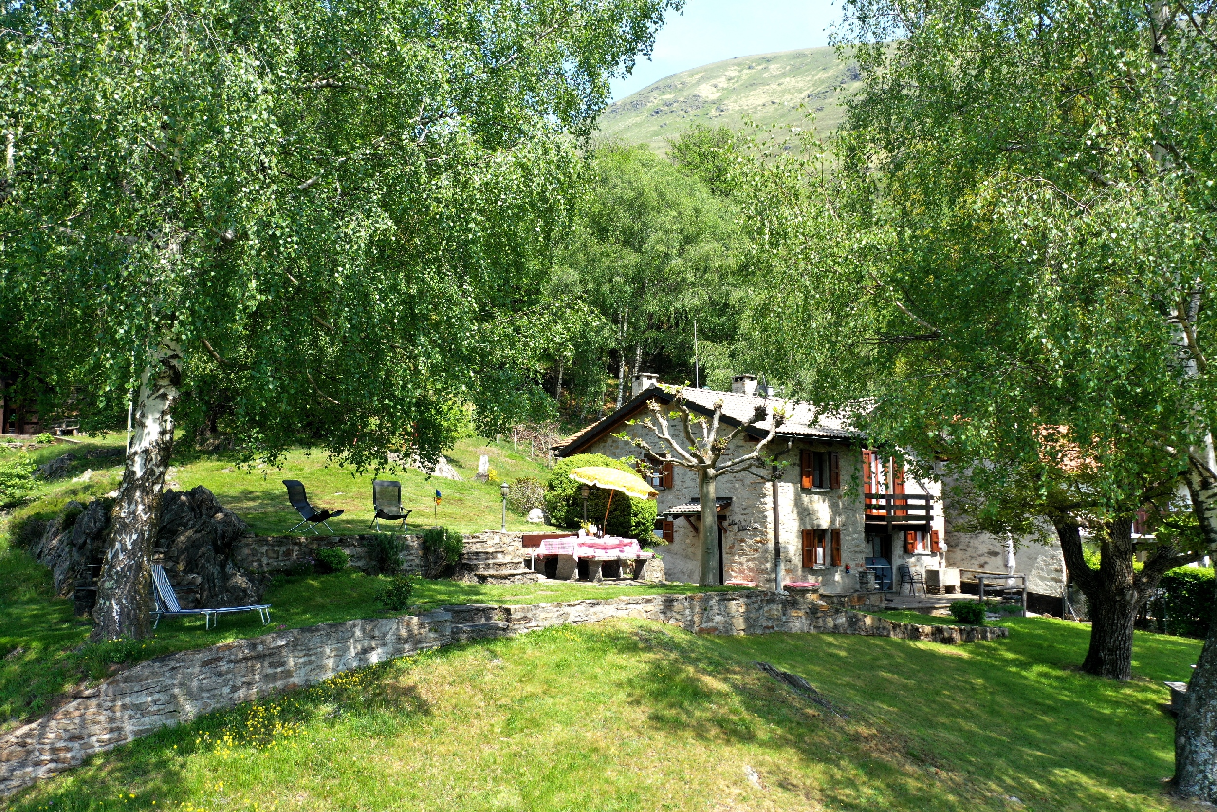 Image description